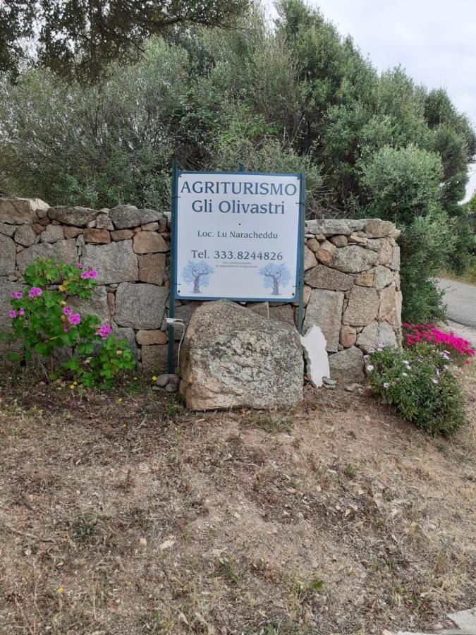 Gli Olivastri Con Piscina,Solarium, Vista Mare ,Sole -Mare E Tanta Natura ,Climatizzatore,Wifi Aglientu Exterior photo