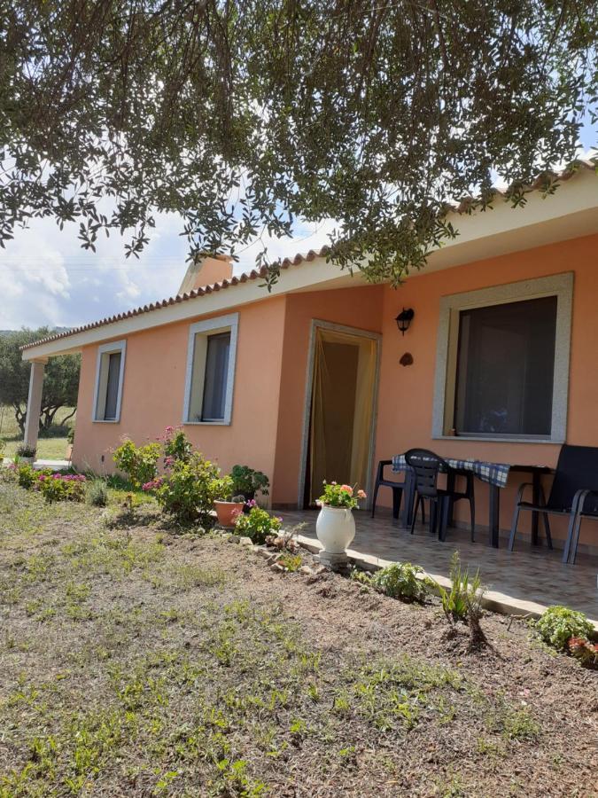 Gli Olivastri Con Piscina,Solarium, Vista Mare ,Sole -Mare E Tanta Natura ,Climatizzatore,Wifi Aglientu Exterior photo
