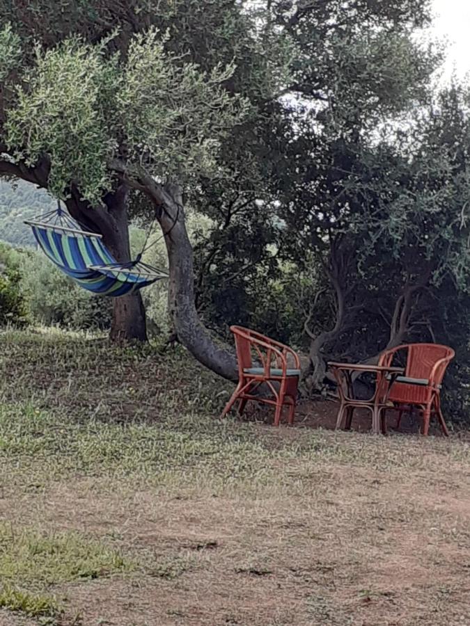 Gli Olivastri Con Piscina,Solarium, Vista Mare ,Sole -Mare E Tanta Natura ,Climatizzatore,Wifi Aglientu Exterior photo