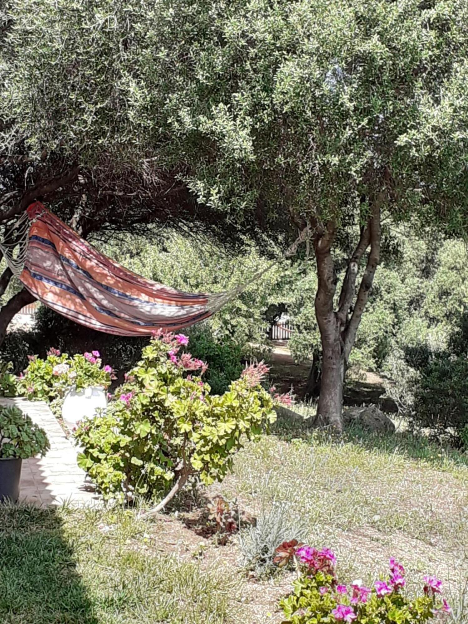 Gli Olivastri Con Piscina,Solarium, Vista Mare ,Sole -Mare E Tanta Natura ,Climatizzatore,Wifi Aglientu Exterior photo