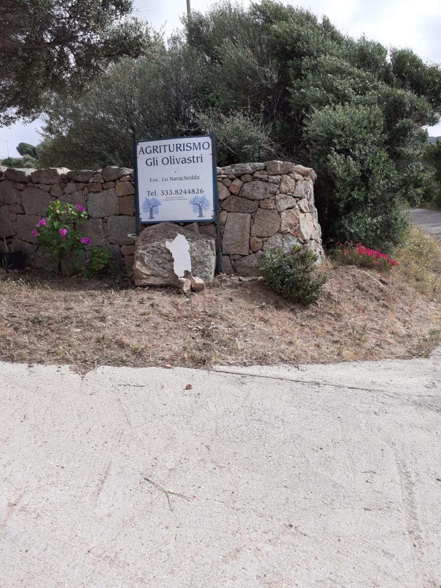 Gli Olivastri Con Piscina,Solarium, Vista Mare ,Sole -Mare E Tanta Natura ,Climatizzatore,Wifi Aglientu Exterior photo