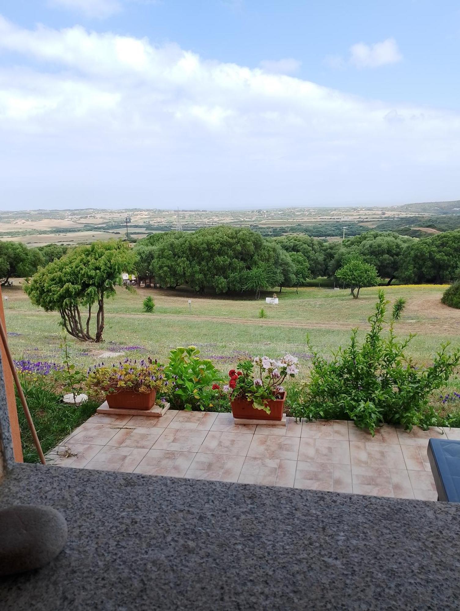 Gli Olivastri Con Piscina,Solarium, Vista Mare ,Sole -Mare E Tanta Natura ,Climatizzatore,Wifi Aglientu Exterior photo
