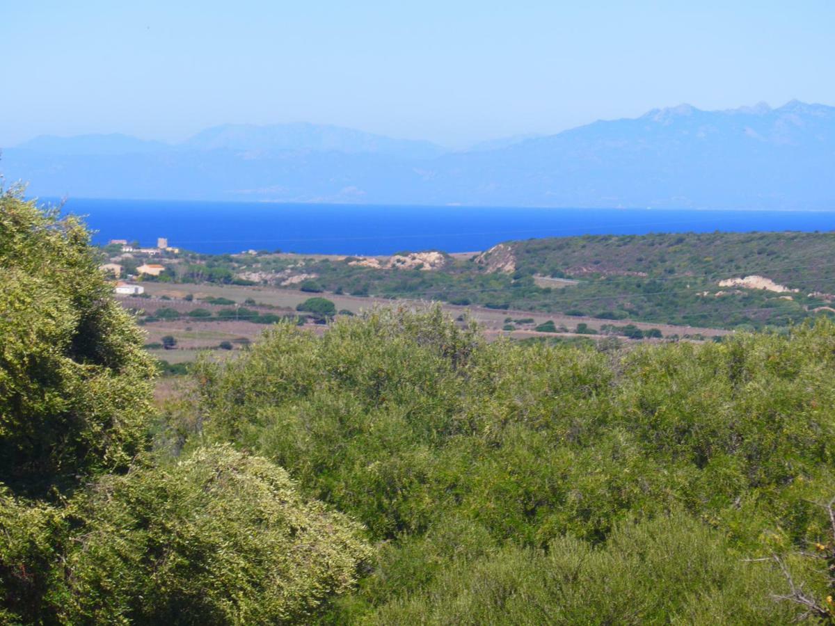 Gli Olivastri Con Piscina,Solarium, Vista Mare ,Sole -Mare E Tanta Natura ,Climatizzatore,Wifi Aglientu Exterior photo