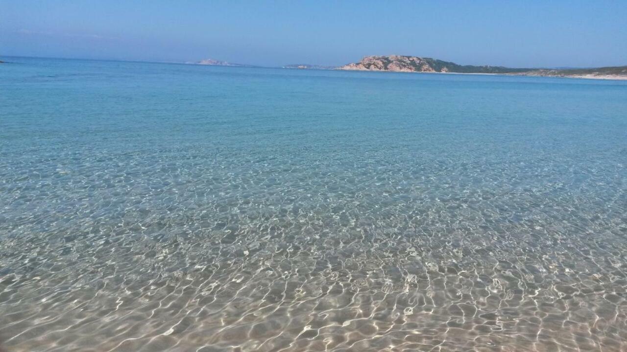 Gli Olivastri Con Piscina,Solarium, Vista Mare ,Sole -Mare E Tanta Natura ,Climatizzatore,Wifi Aglientu Exterior photo