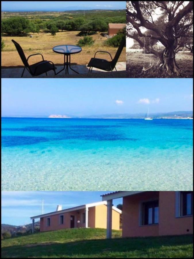 Gli Olivastri Con Piscina,Solarium, Vista Mare ,Sole -Mare E Tanta Natura ,Climatizzatore,Wifi Aglientu Exterior photo