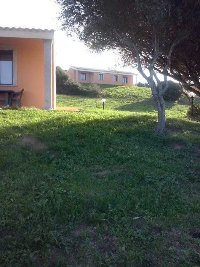 Gli Olivastri Con Piscina,Solarium, Vista Mare ,Sole -Mare E Tanta Natura ,Climatizzatore,Wifi Aglientu Exterior photo