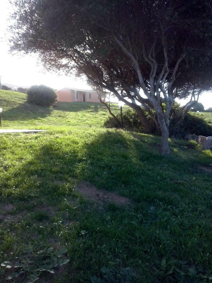 Gli Olivastri Con Piscina,Solarium, Vista Mare ,Sole -Mare E Tanta Natura ,Climatizzatore,Wifi Aglientu Exterior photo